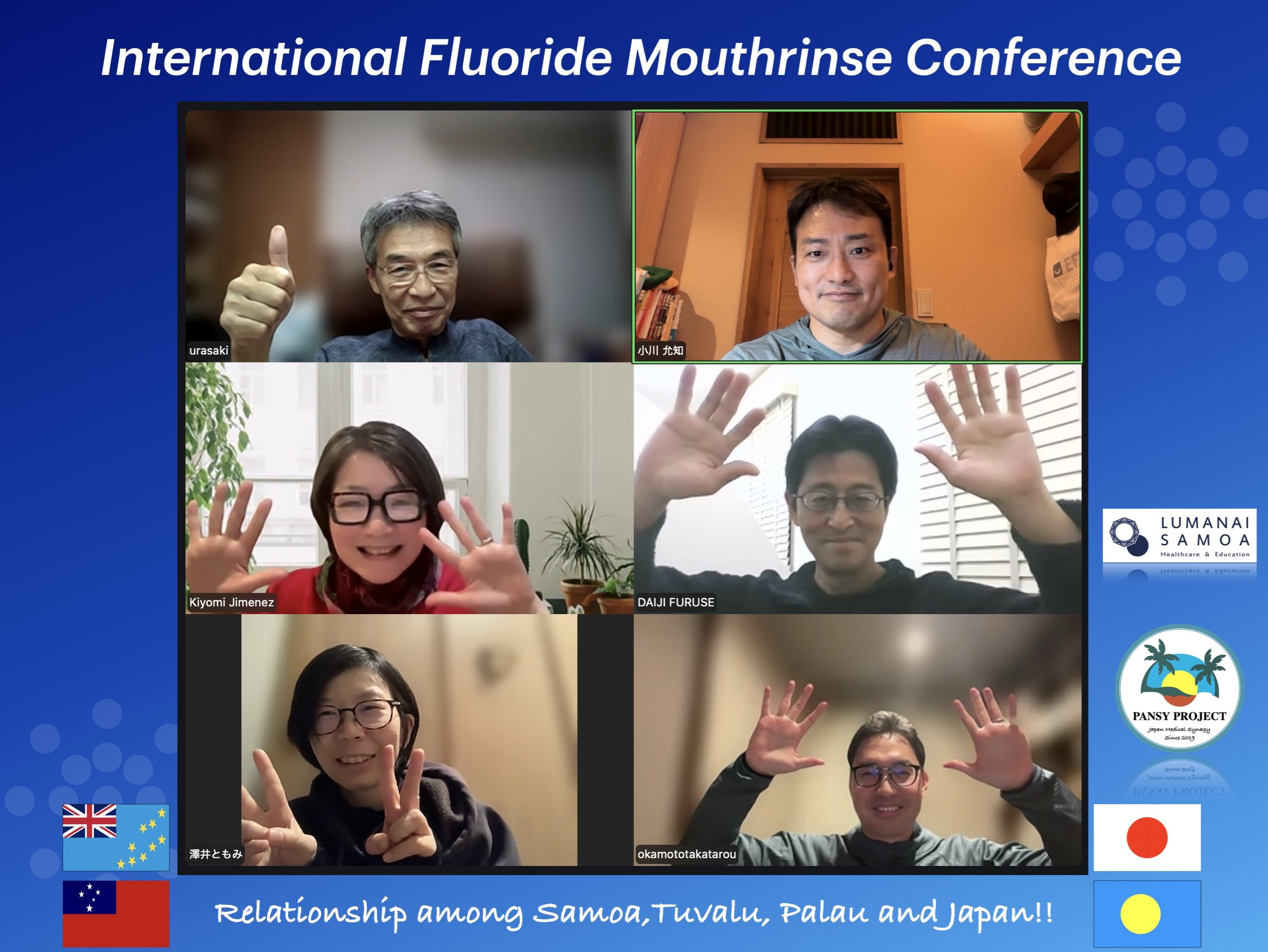International Fluoride Mouthrinse ConferenceVol.11